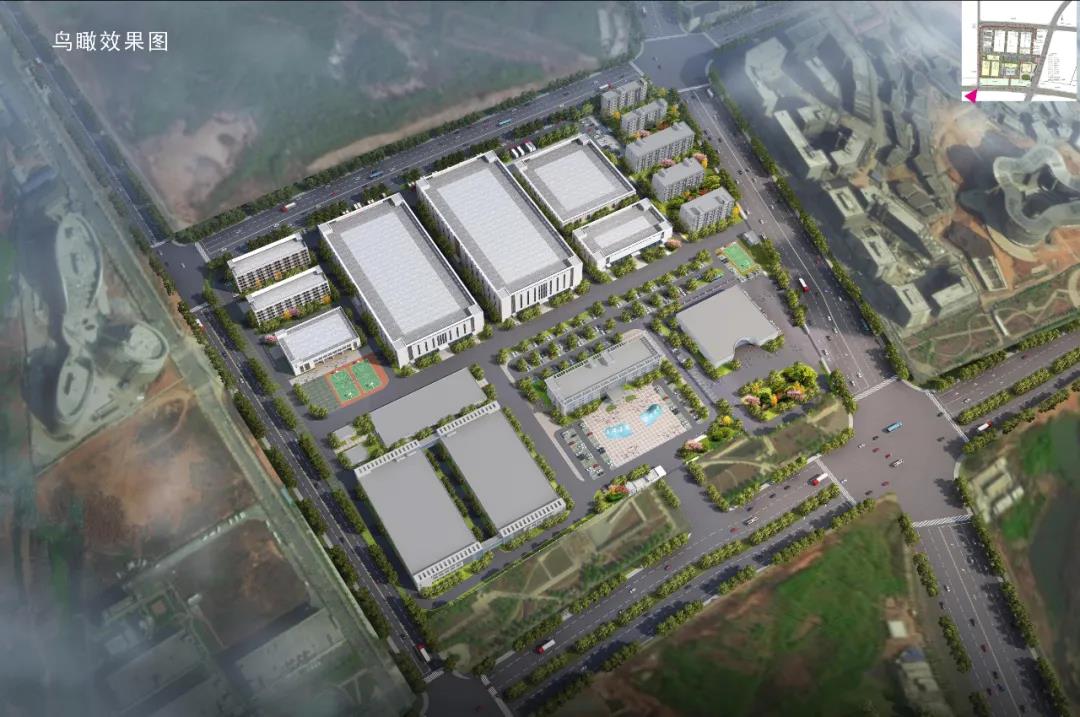 1634472802545817.jpg 02.jpg